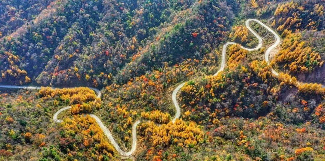 秦岭生态节旅游发展现状_秦岭生态旅游节_秦岭生态园