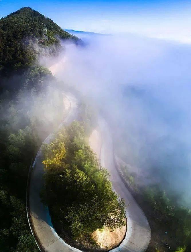 旗山森林公园自驾游_旗山国家森林公园自驾_自驾游旗山