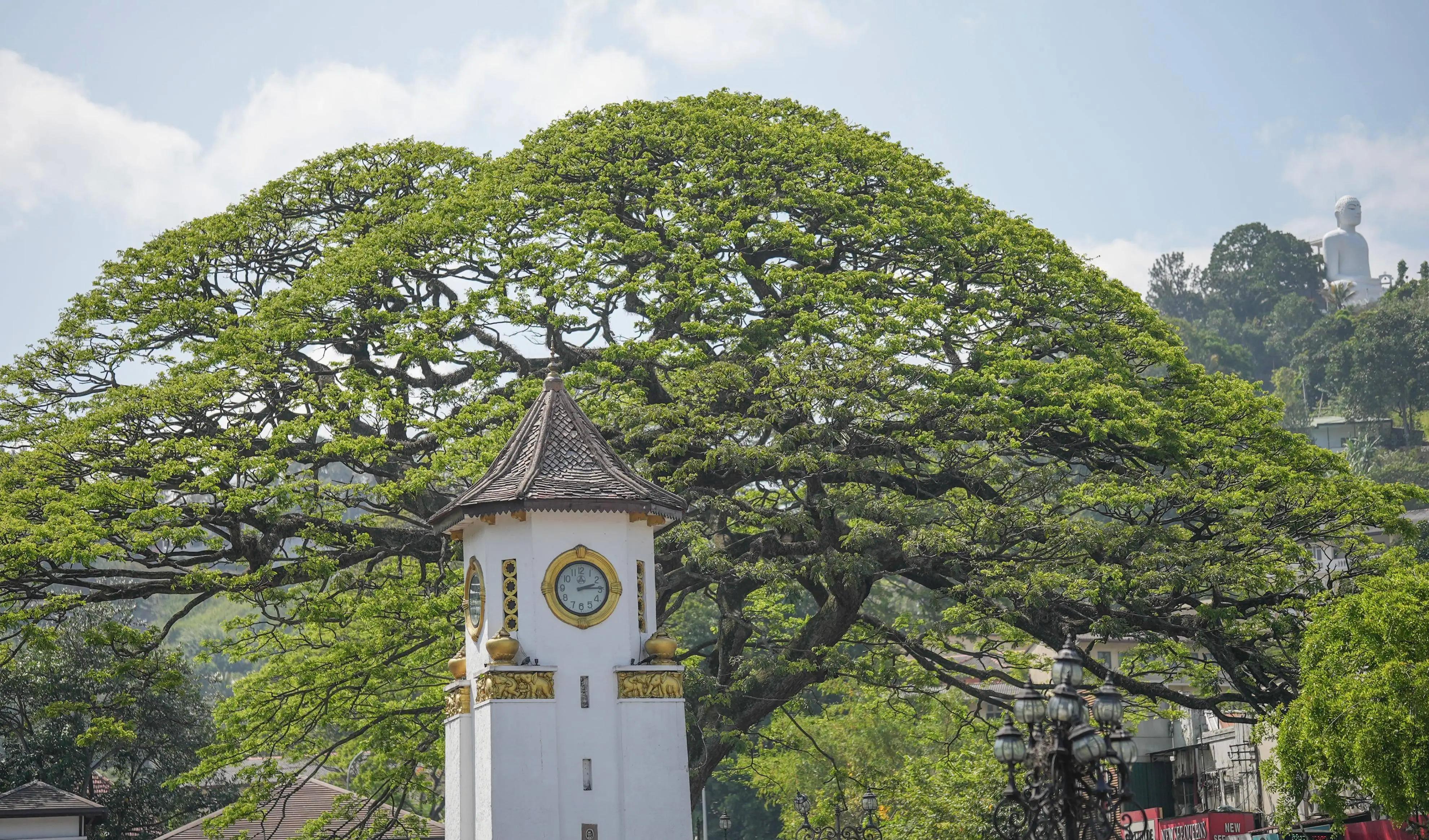 百色旅游路线_百色 旅游攻略_百色旅游攻略必玩的