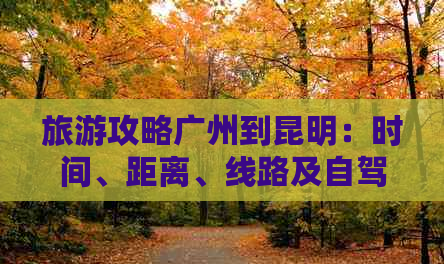 广州郊区游玩_广州郊区自驾游_广州郊外自驾游