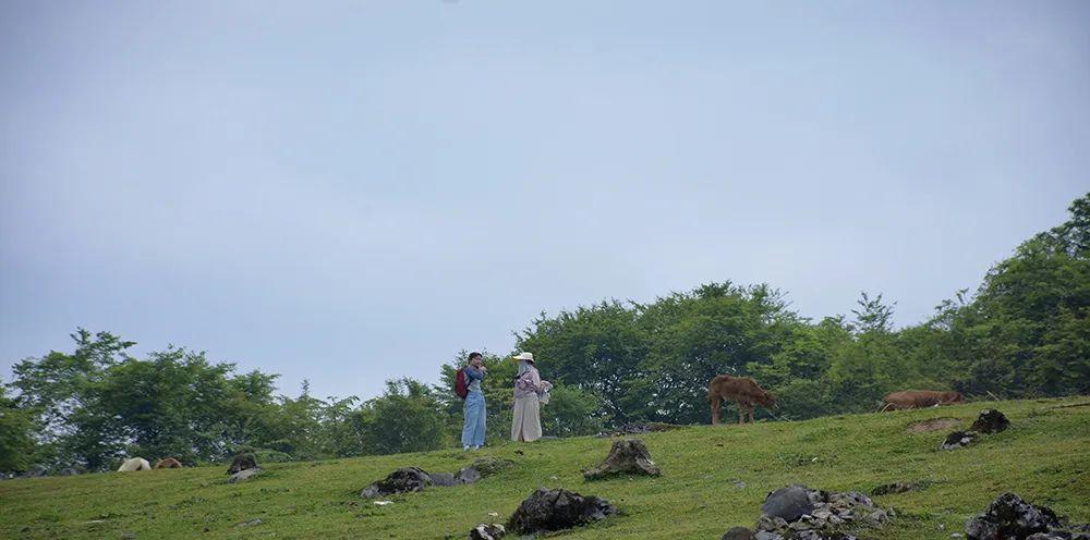 安徽到宝鸡火车票_宝鸡离安徽多远_宝鸡到安徽的火车